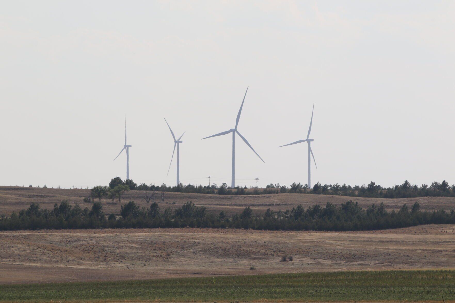 COPYRIGHT RESTRICTED Wind Fight